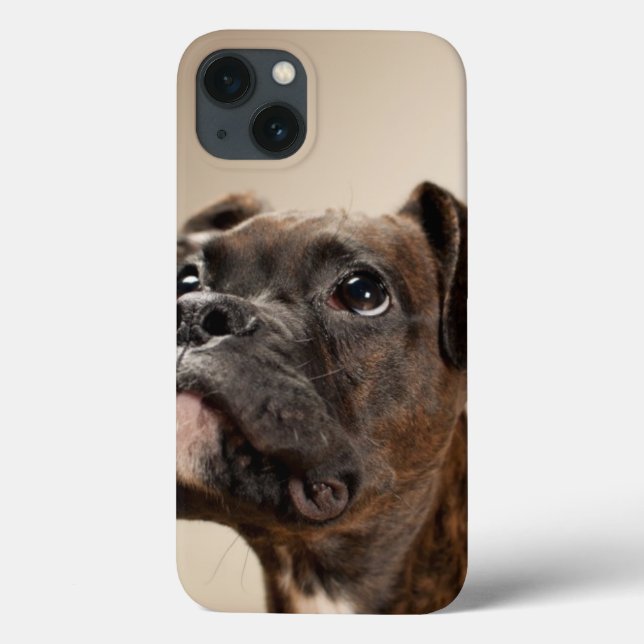 Coques Case-Mate iPhone Un chiot de Brindle Boxer qui regarde curieusement (Verso)