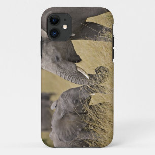 Coque Case-Mate Pour iPhone Un éléphant d'Afrique paissant dans les champs