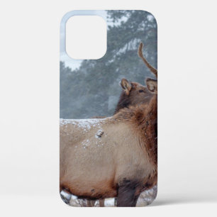 Case-Mate iPhone CASE UN GROUPE DE DEERS