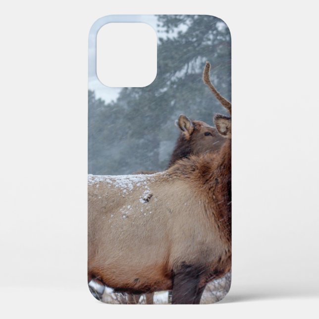 COQUES Case-Mate iPhone UN GROUPE DE DEERS (Verso)