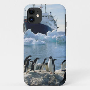 Coque Case-Mate Pour iPhone Un groupe de pingouins se tenant sur une plage