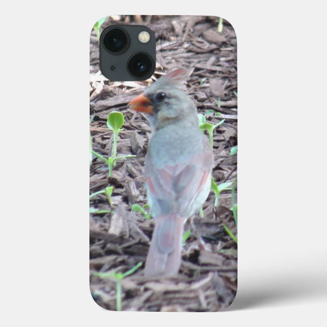 Coques Case-Mate iPhone Un joli cas de téléphone cellulaire cardinal fémin (Verso)