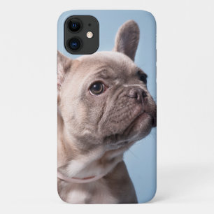 Case-Mate iPhone Case Un joli chien de taureau français