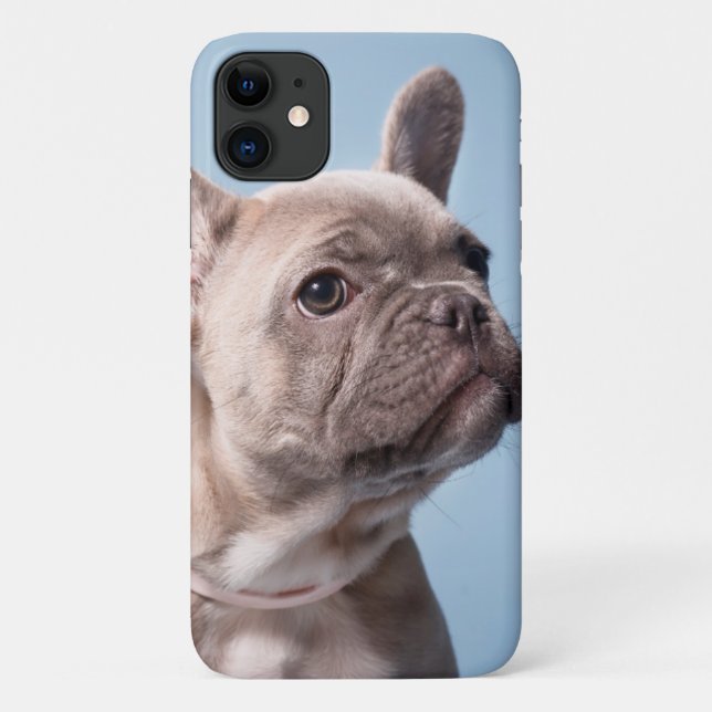 Coques Case-Mate iPhone Un joli chien de taureau français (Dos)