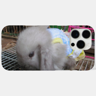Coques iPhone 16 Pro Max Un lapin en robe