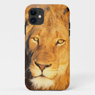 Coque iPhone 11 Un lion à crinière rouge regardant l'appareil phot