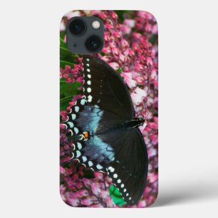 Case-Mate iPhone Case Un papillon de soufre dans la famille de Phoebis
