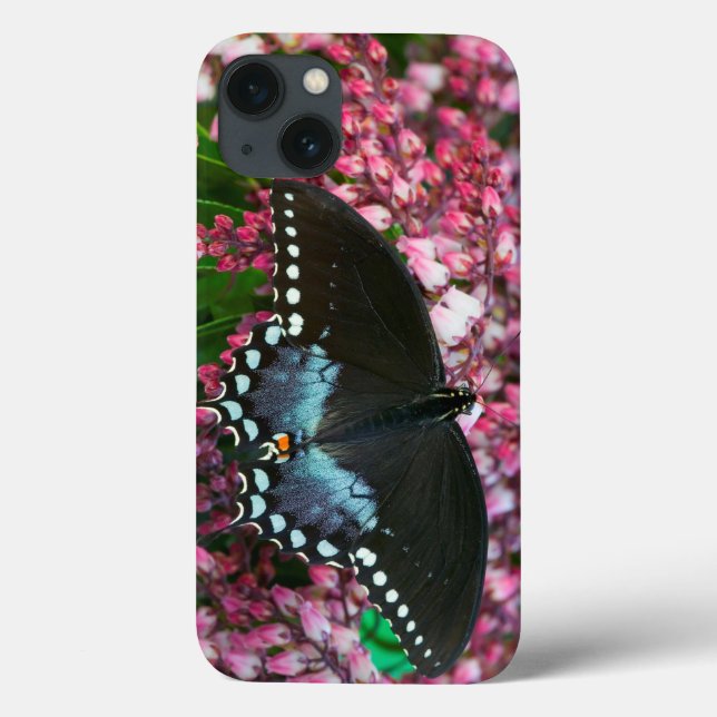 Coques Case-Mate iPhone Un papillon de soufre | dans la famille de Phoebis (Verso)