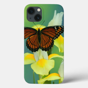Case-Mate iPhone Case Un papillon de vice-roi sur un iris japonais jaune