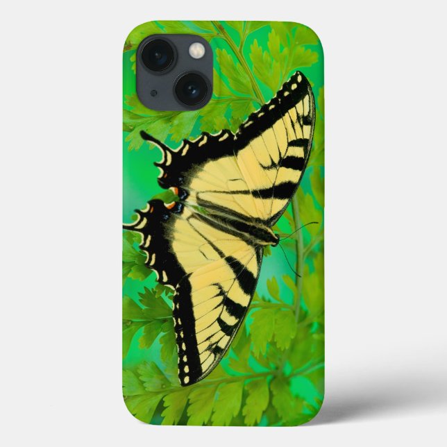 Coques Case-Mate iPhone Un papillon swallowtail atterrissant (Verso)