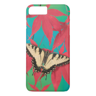 Case-Mate iPhone Case Un papillon swallowtail tigre canadien