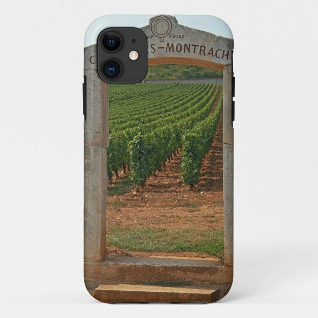 Coques Case-Mate iPhone Un portique en pierre du vignoble (Dos)