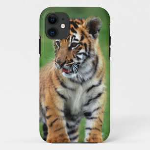 Coque iPhone 11 Un tigre de bébé mignon