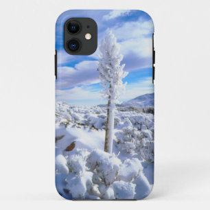 Coque Case-Mate Pour iPhone Un yucca enneigé