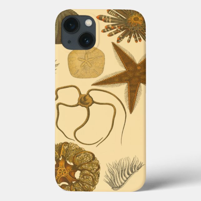 Coques Case-Mate iPhone Underwater Sea (Verso)