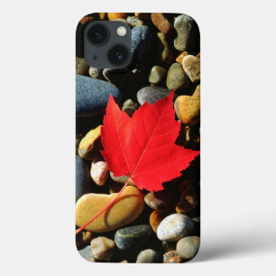 iPhone 13 Case Une feuille d'érable sur un Arrière - plan de ro