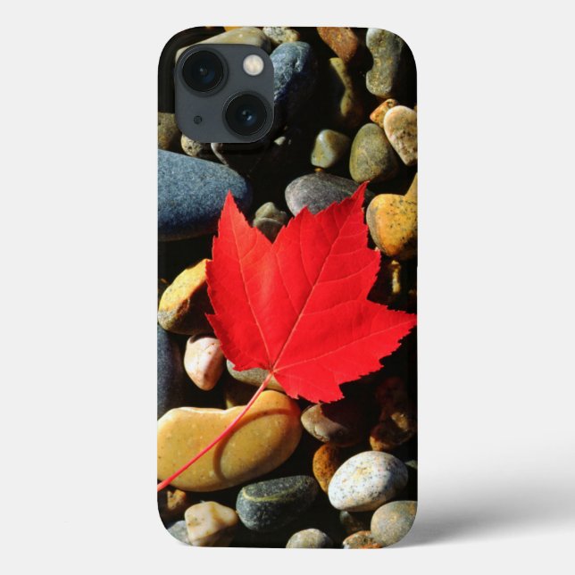 Coques Case-Mate iPhone Une feuille d'érable sur un Arrière - plan de rock (Verso)