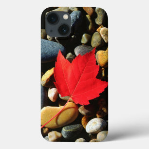 Etui iPhone Case-Mate Une feuille d'érable sur un Arrière - plan de rock