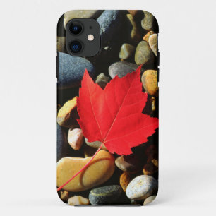 Coque iPhone 11 Une feuille d'érable sur un fond rocheux