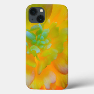 iPhone 13 Case Une fleur de begonia lumineuse à contre-jour