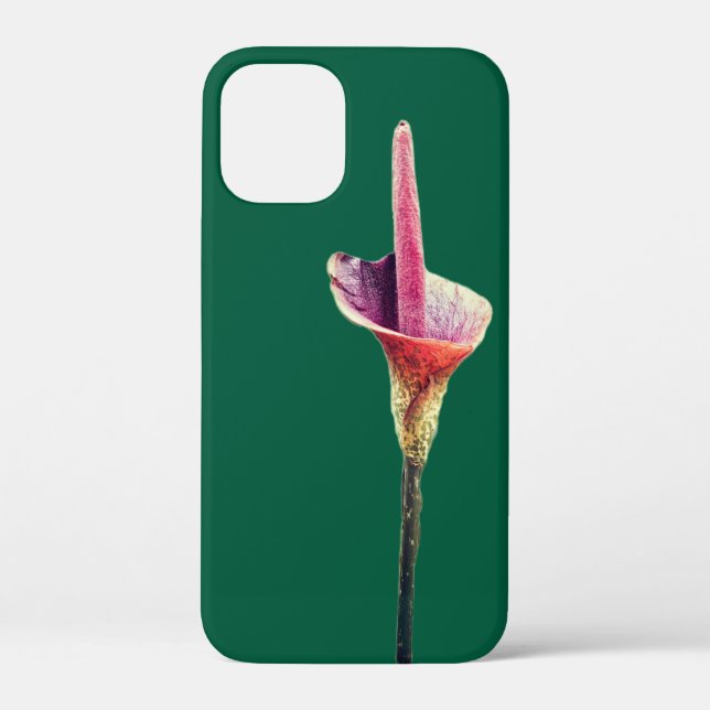 Coques Case-Mate iPhone Une fleur de lys-vodou (Verso)