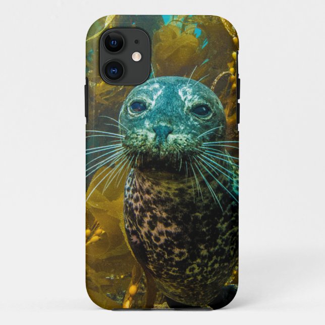 Coques Case-Mate iPhone Une forêt curieuse | Santa Barbara de varech de (Dos)