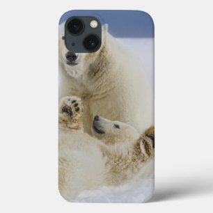 Coque Case-Mate iPhone Une ourse polaire et son ourson jouent dans la nei