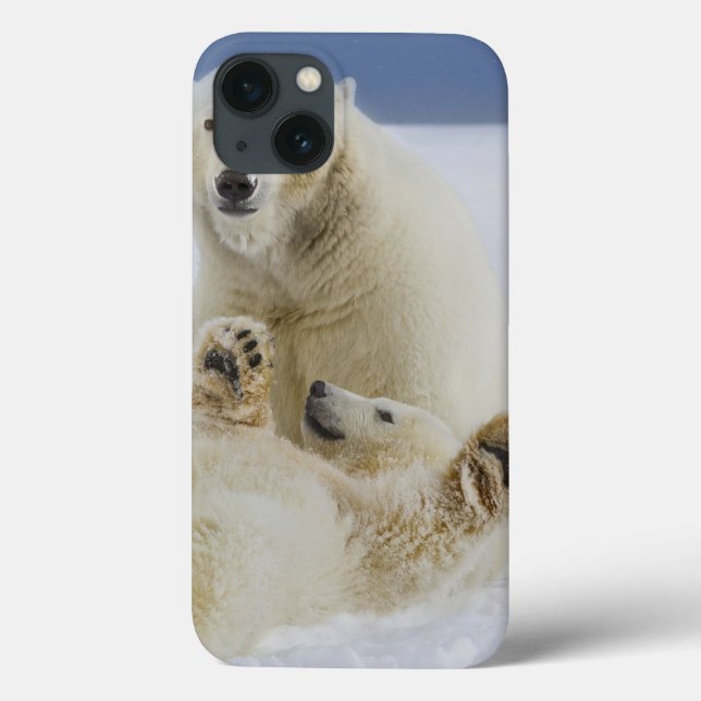 Coques Case-Mate iPhone Une ourse polaire et son ourson jouent dans la nei (Verso)