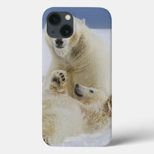 Coques Pour iPhone Une ourse polaire et son ourson jouent dans la nei
