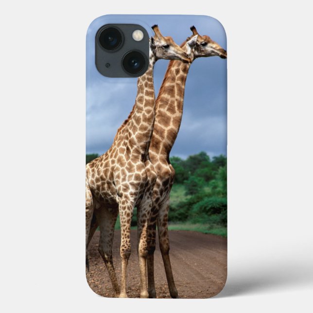 Coques Case-Mate iPhone Une Paire De Giraffes En Route, Kruger National (Verso)
