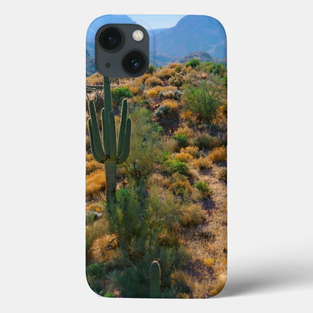 Coques Case-Mate iPhone USA, Arizona. Desert View (Verso)