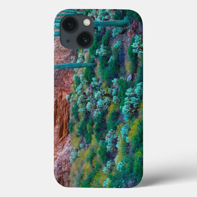 Coques Case-Mate iPhone USA, Arizona. Flore du désert (Verso)