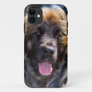 Coques Pour iPhone USA, Californie. Portrait De Leonberger Assis