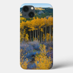 Etui iPhone 13 USA, Colorado. Bright Yellow Aspens in Rockies