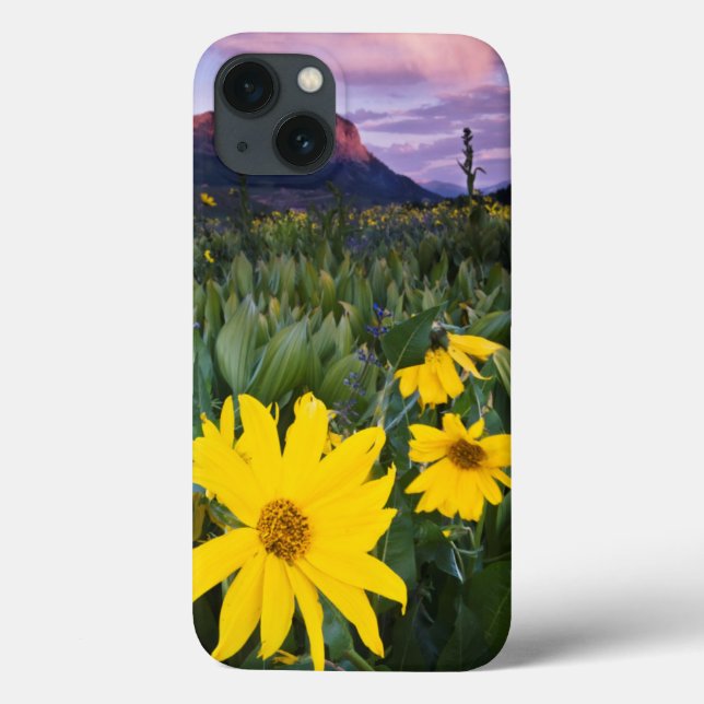 Coques Case-Mate iPhone USA, Colorado, Mt. Crested Butte (Verso)