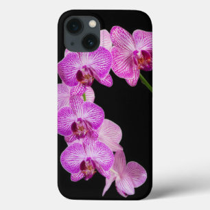 iPhone 13 Coque USA, Georgia, Savannah, Cluster Of Orchids 2
