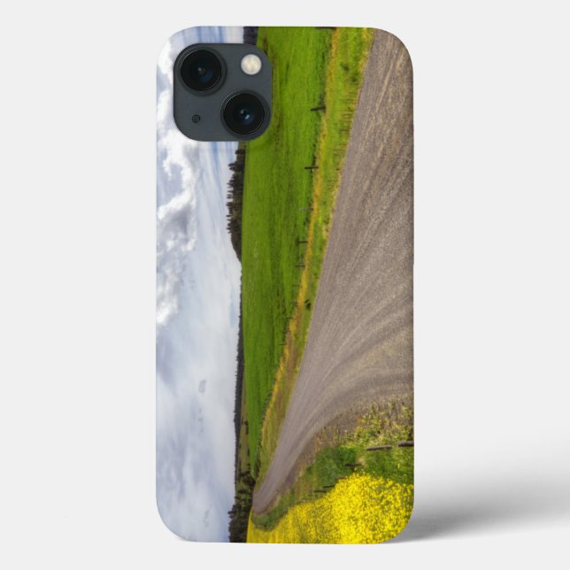 Coques Case-Mate iPhone USA, Idaho, Idaho County, Canola Field (Verso)