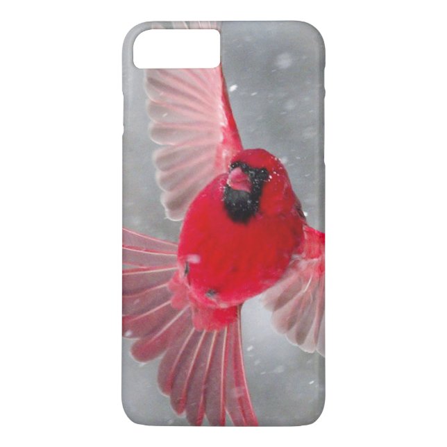 Coques Case-Mate iPhone USA, Indiana, Indianapolis. Un cardinal masculin (Dos)