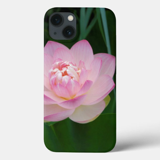 Coques Case-Mate iPhone USA, Kansas, Pink Water Lilly (Verso)