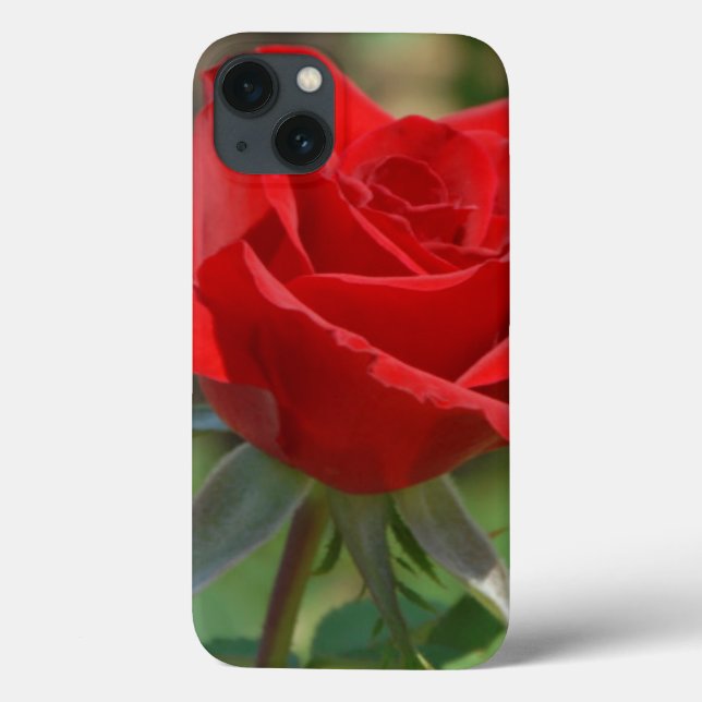 Coques Case-Mate iPhone USA, Kansas, Red Rose (Verso)