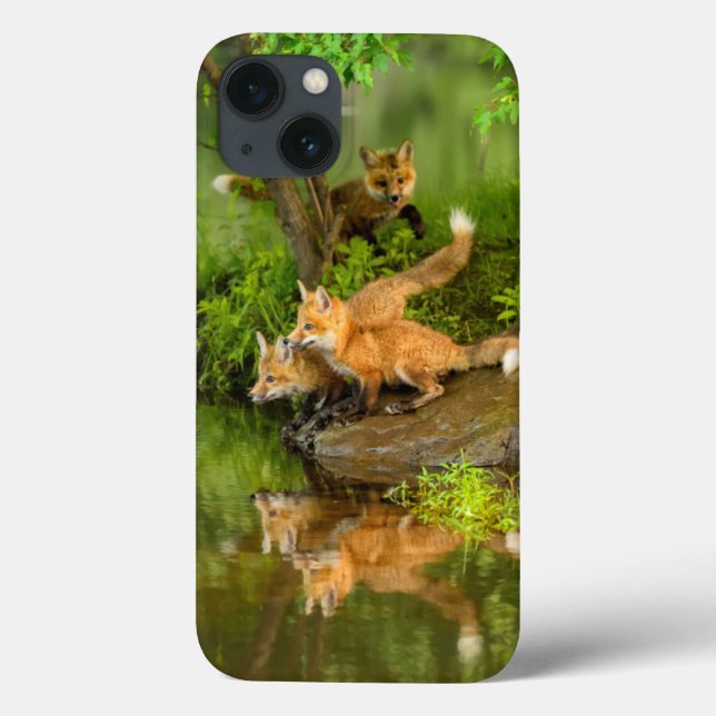 Coques Case-Mate iPhone USA, Minnesota, Sandstone, Minnesota Wildlife (Verso)