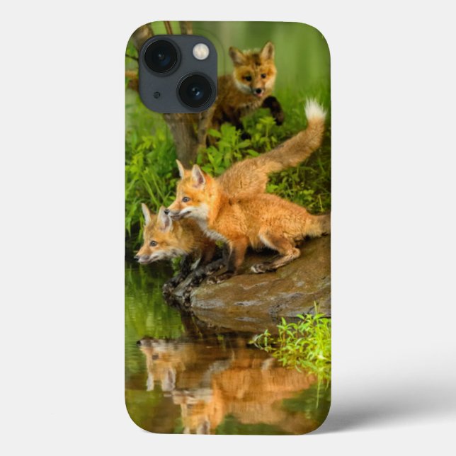Coques Case-Mate iPhone USA, Minnesota, Sandstone, Minnesota Wildlife (Verso)