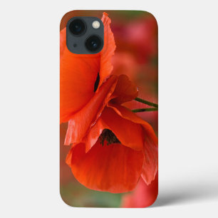 Coque Case-Mate iPhone USA, North Carolina. Close-up of poppy