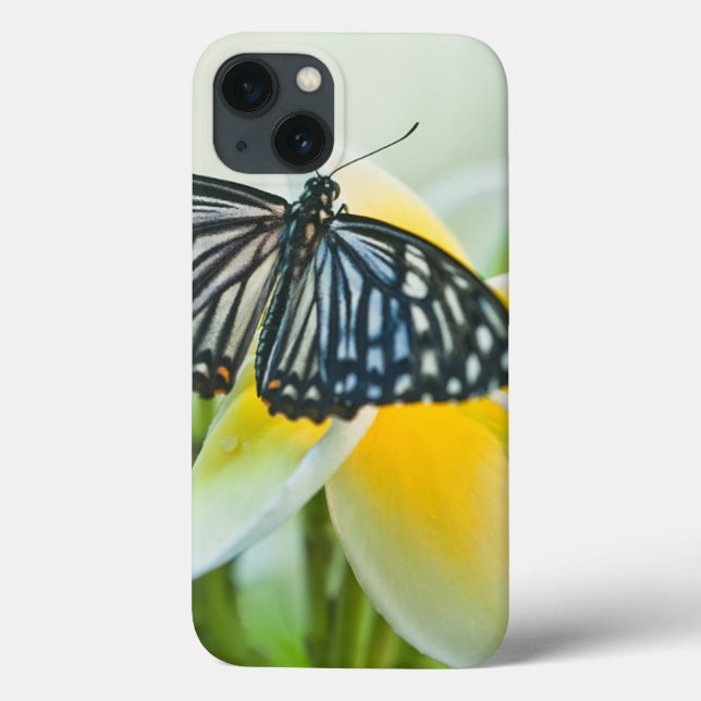 Coques Case-Mate iPhone USA, Pennsylvania. Swallowtail butterfly (Verso)