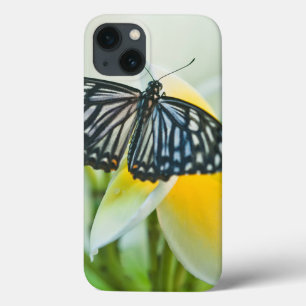 Coques Pour iPhone USA, Pennsylvania. Swallowtail butterfly
