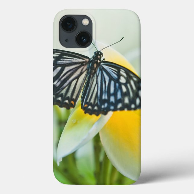 Coques Case-Mate iPhone USA, Pennsylvania. Swallowtail butterfly (Verso)