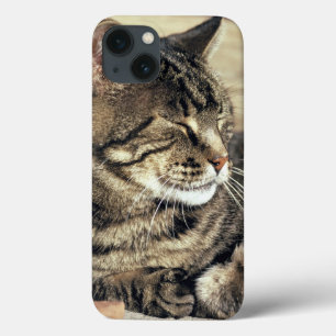 iPhone 13 Case USA, Utah, Capitol Reef NP. Tablette dormante