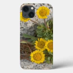 Coque Case-Mate iPhone USA, Washington, Cascade Range 5