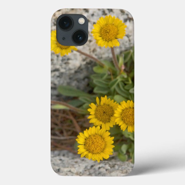 Coques Case-Mate iPhone USA, Washington, Cascade Range 5 (Verso)