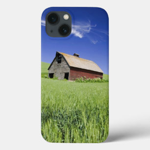 Etui iPhone 13 USA, Washington, Old Red Barn in the Spring